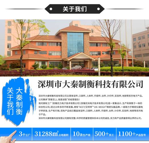 热议深圳市大秦制衡科技专业不专业,科技企业推荐哪家